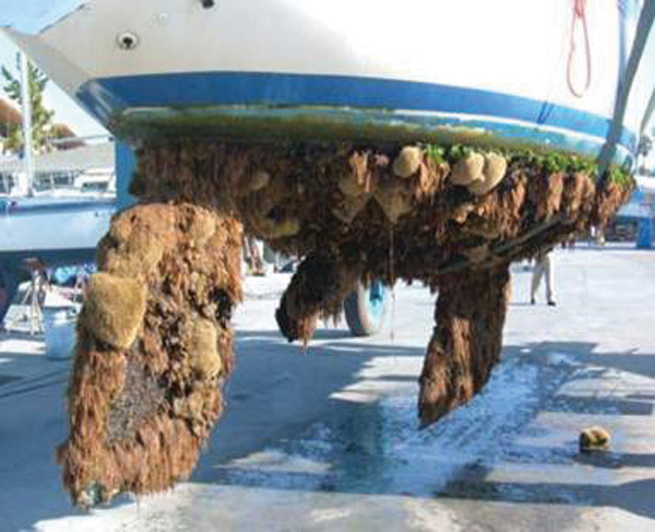 Boaterslogvol3no21BottomPaintimage2.jpg Boaterslogvol3no21BottomPaintimage2.jpg