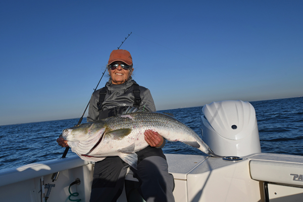 Striper-5.jpg Striper-5.jpg