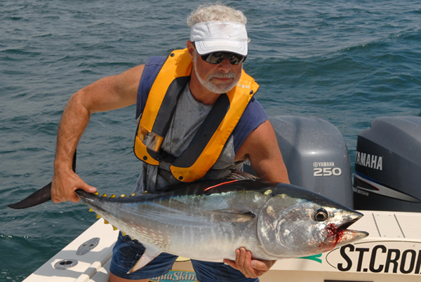 Tuna-4.jpg Tuna-4.jpg