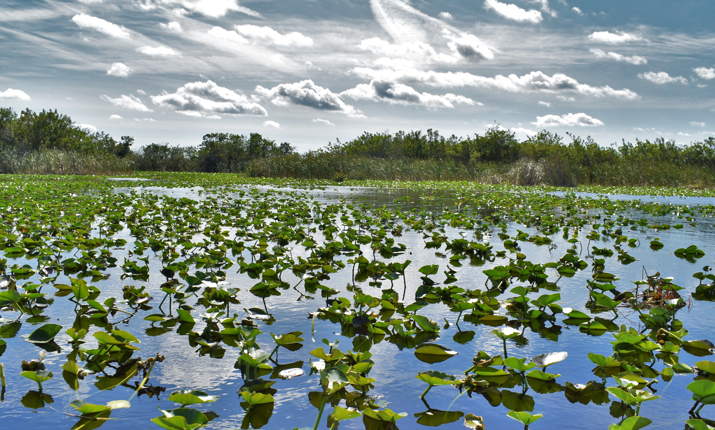 Yamaha-Boaters-Logvol13No36PlacestoBoatWhenColdimage3.jpg If your Florida wintertime boating aspirations involve more freshwater than salt, check out Lake Okeechobee.