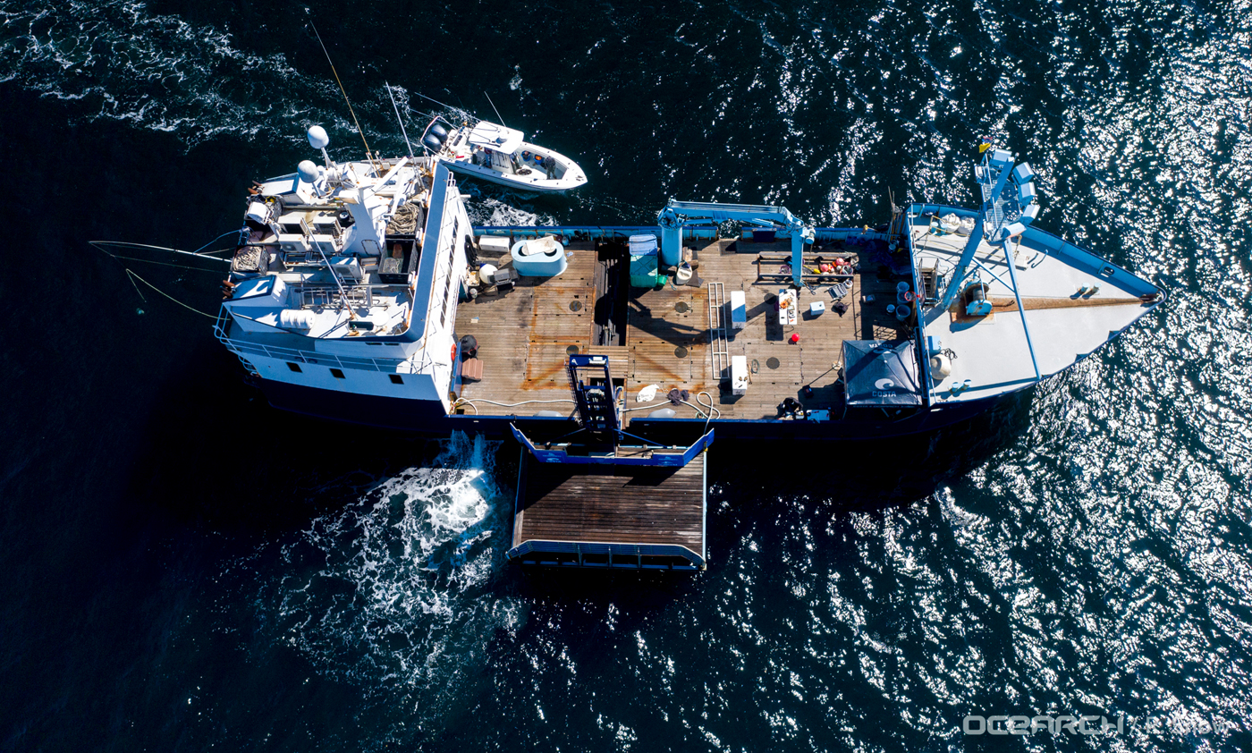 Yamaha-Boaters-LogVol13No5OCEARCHimage2-(1).jpg OCEARCH hopes to stabilize the ocean's ecosystem by providing more information about Great White sharks through extensive research.
