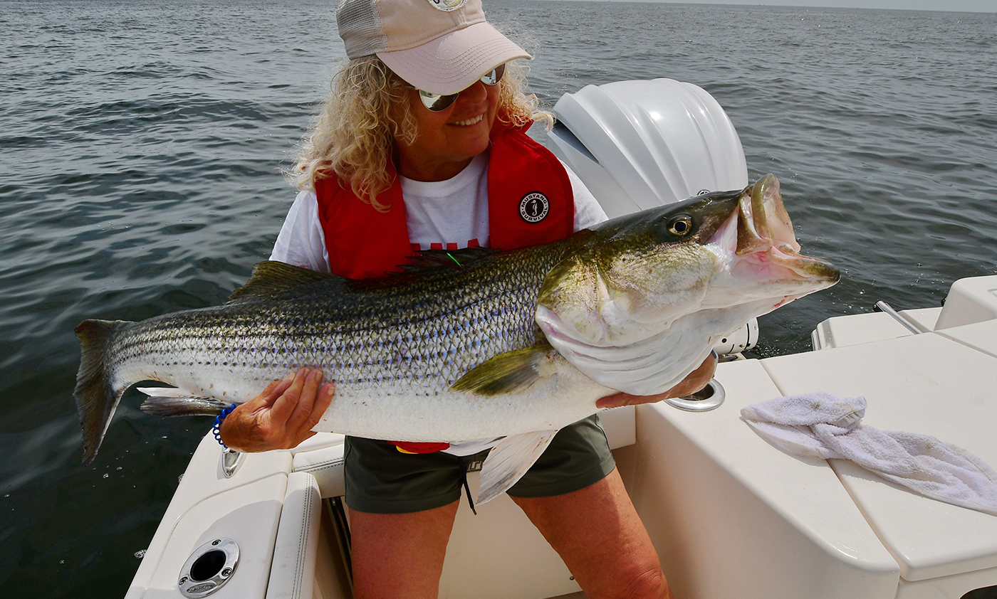Yamaha-Fishin-SaltVol17No7EelsTaleimage4.jpg Eels make incredibly good bait for fishing.