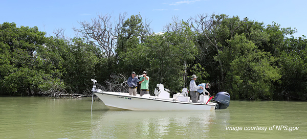 Yamaha-in-Everglades-credit-NPS-gov.jpg Yamaha-in-Everglades-credit-NPS-gov.jpg