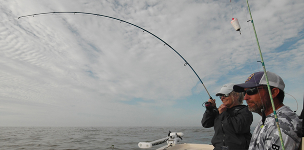 Redfish-2.jpg Redfish-2.jpg