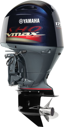 VF175XA V MAX SHO