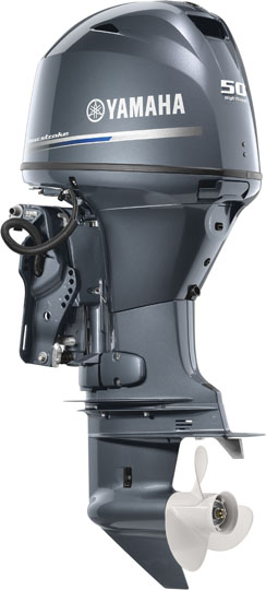 T50LB